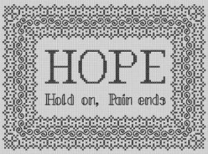 HOPE stitched view